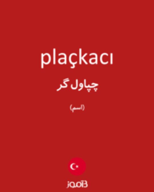  تصویر plaçkacı - دیکشنری انگلیسی بیاموز