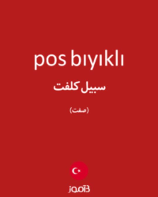  تصویر pos bıyıklı - دیکشنری انگلیسی بیاموز