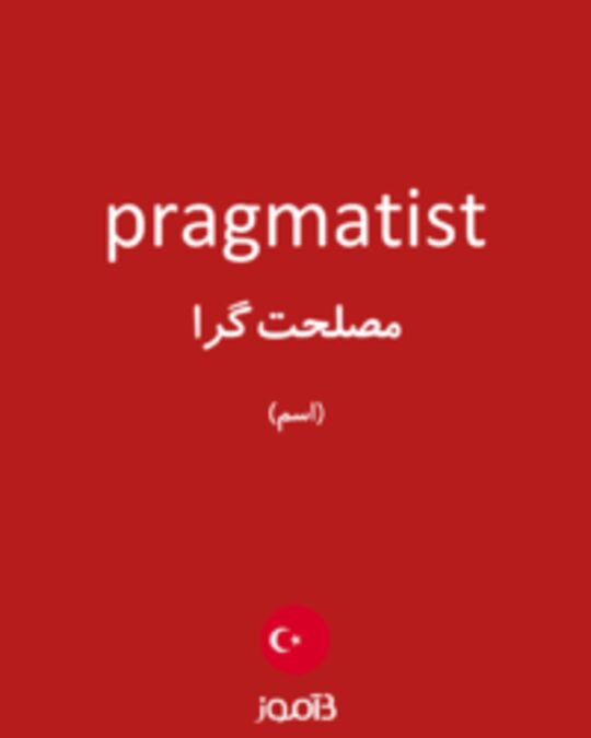  تصویر pragmatist - دیکشنری انگلیسی بیاموز