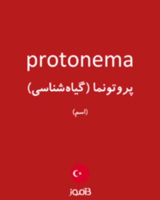  تصویر protonema - دیکشنری انگلیسی بیاموز