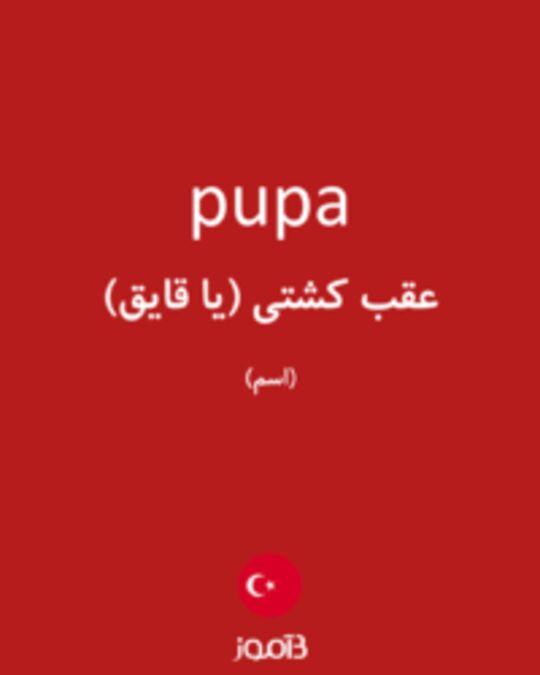  تصویر pupa - دیکشنری انگلیسی بیاموز