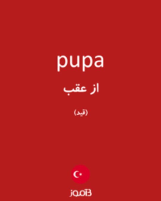  تصویر pupa - دیکشنری انگلیسی بیاموز