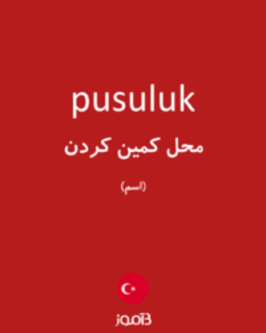  تصویر pusuluk - دیکشنری انگلیسی بیاموز