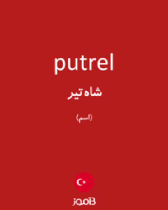  تصویر putrel - دیکشنری انگلیسی بیاموز