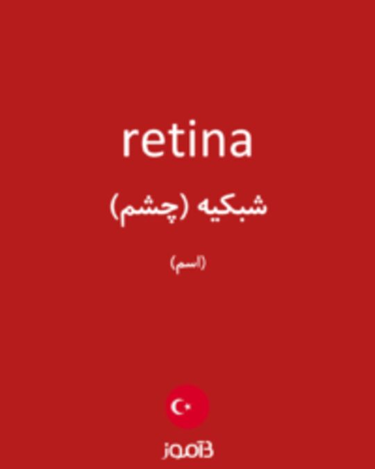  تصویر retina - دیکشنری انگلیسی بیاموز