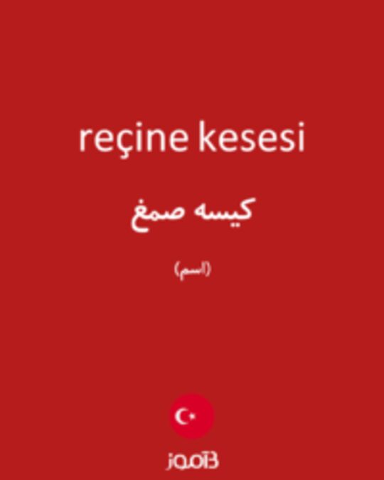  تصویر reçine kesesi - دیکشنری انگلیسی بیاموز