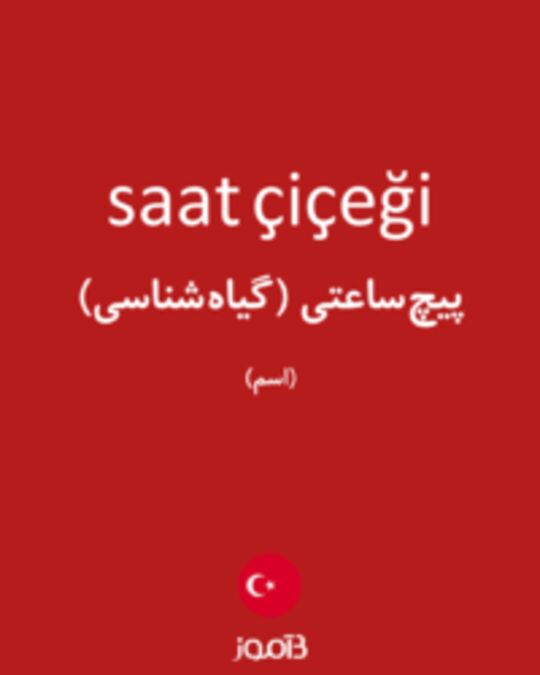  تصویر saat çiçeği - دیکشنری انگلیسی بیاموز