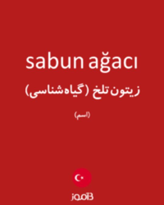  تصویر sabun ağacı - دیکشنری انگلیسی بیاموز