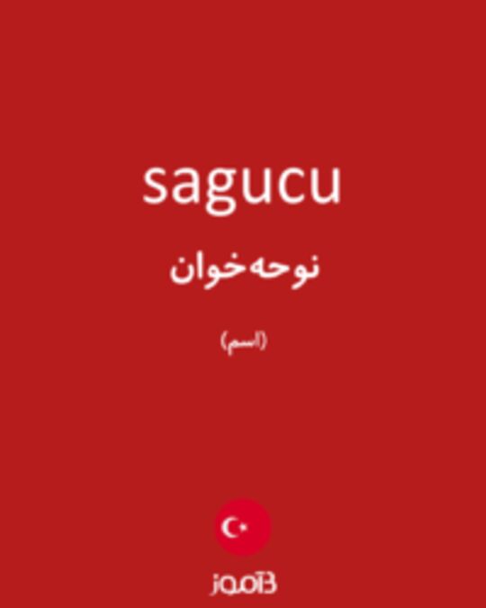  تصویر sagucu - دیکشنری انگلیسی بیاموز