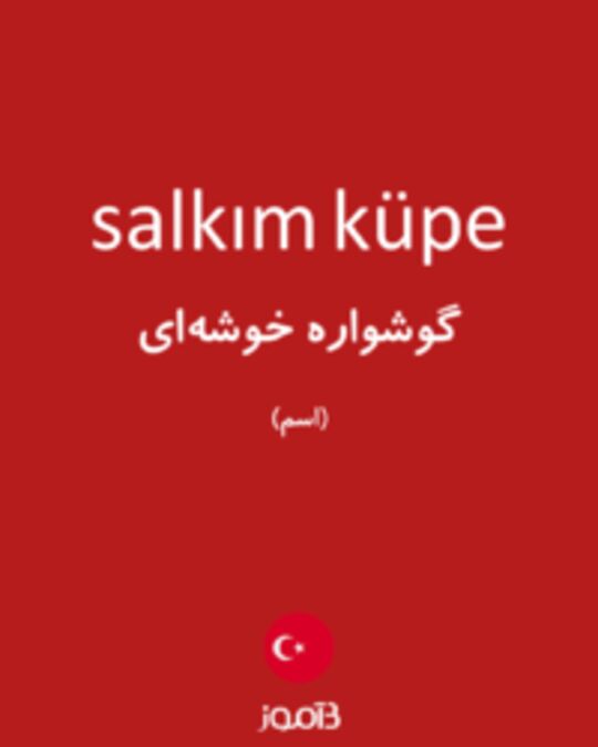  تصویر salkım küpe - دیکشنری انگلیسی بیاموز