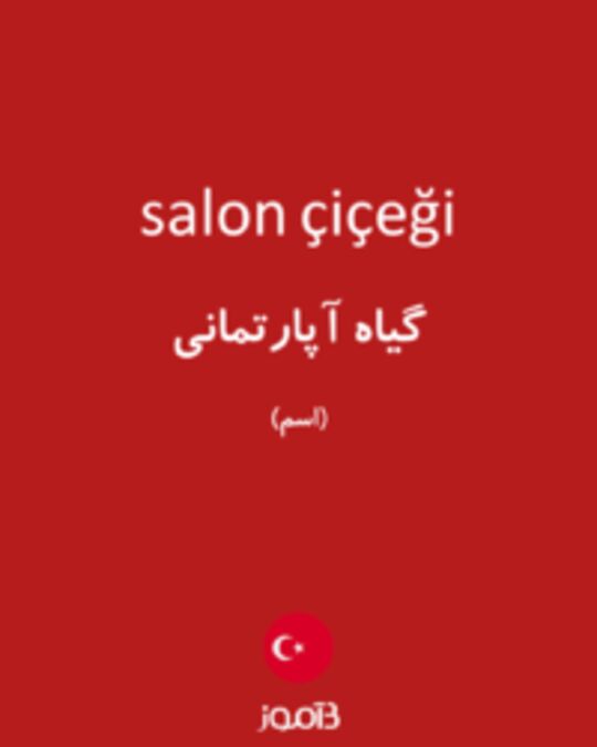  تصویر salon çiçeği - دیکشنری انگلیسی بیاموز