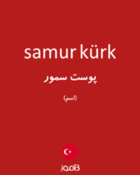  تصویر samur kürk - دیکشنری انگلیسی بیاموز