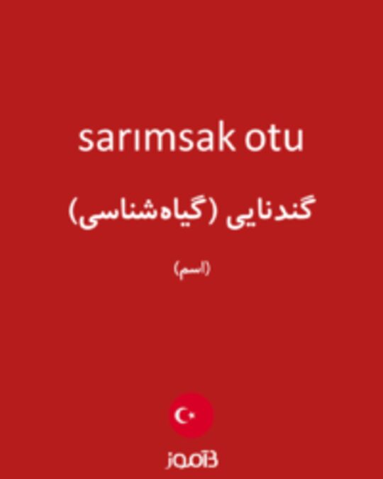  تصویر sarımsak otu - دیکشنری انگلیسی بیاموز