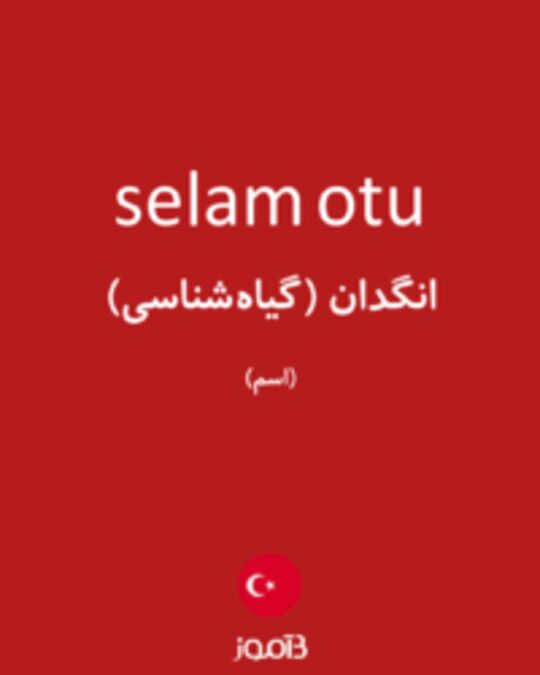  تصویر selam otu - دیکشنری انگلیسی بیاموز