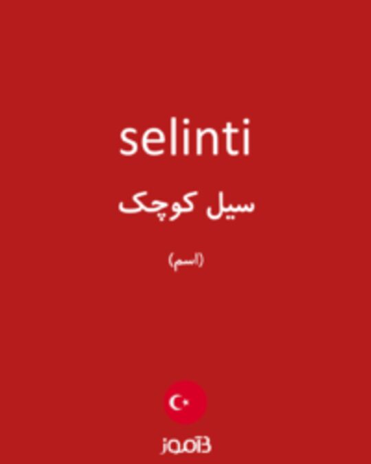  تصویر selinti - دیکشنری انگلیسی بیاموز