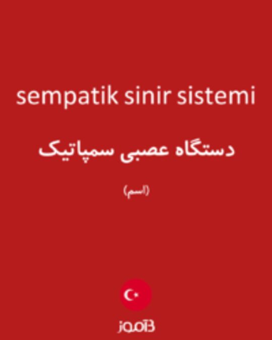  تصویر sempatik sinir sistemi - دیکشنری انگلیسی بیاموز