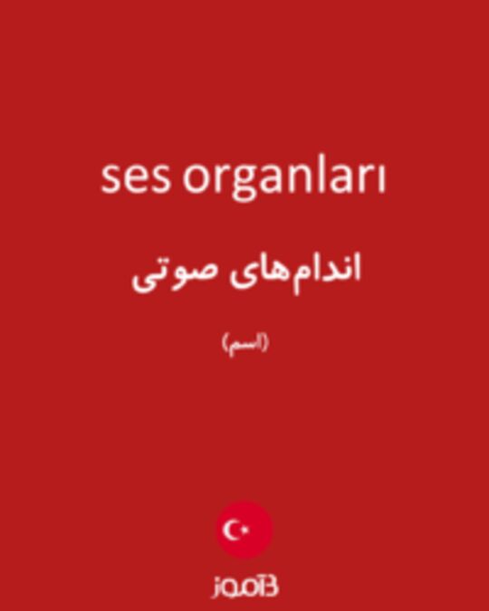  تصویر ses organları - دیکشنری انگلیسی بیاموز