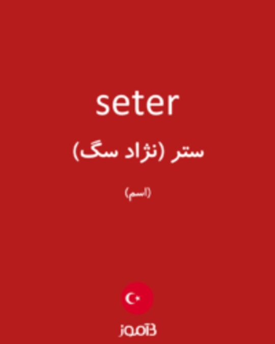  تصویر seter - دیکشنری انگلیسی بیاموز