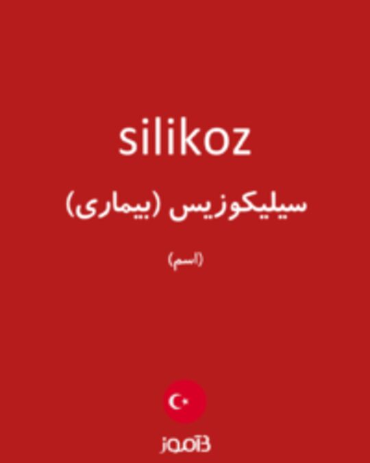  تصویر silikoz - دیکشنری انگلیسی بیاموز