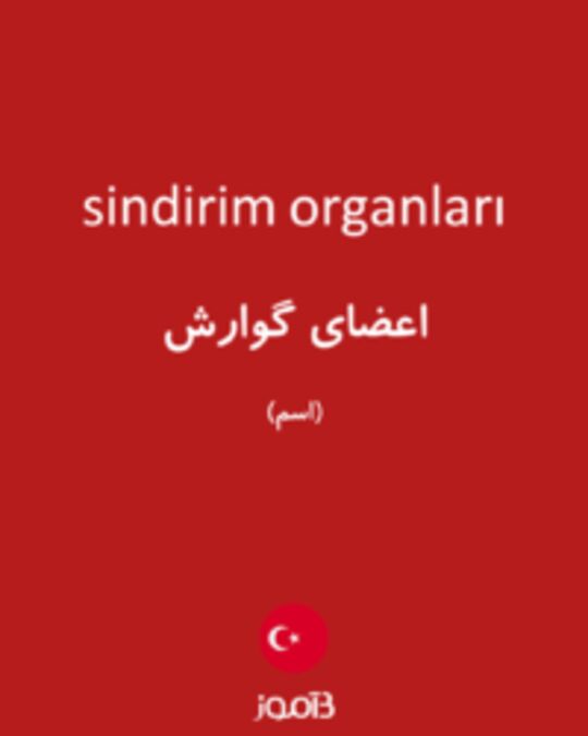  تصویر sindirim organları - دیکشنری انگلیسی بیاموز