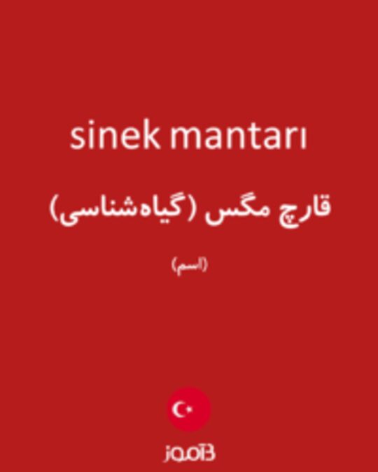  تصویر sinek mantarı - دیکشنری انگلیسی بیاموز