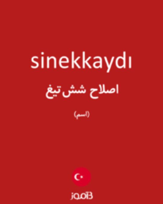  تصویر sinekkaydı - دیکشنری انگلیسی بیاموز