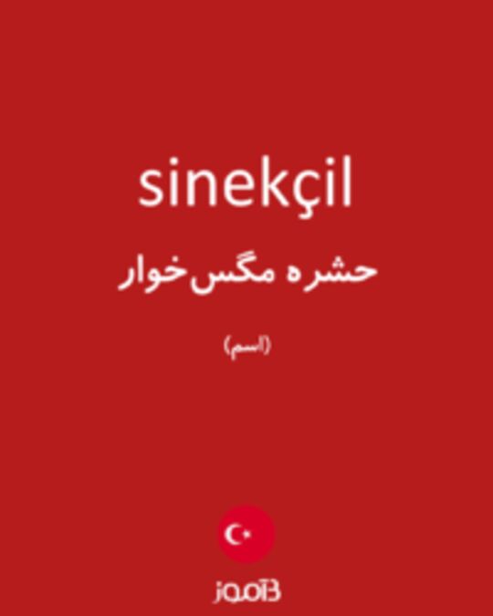  تصویر sinekçil - دیکشنری انگلیسی بیاموز