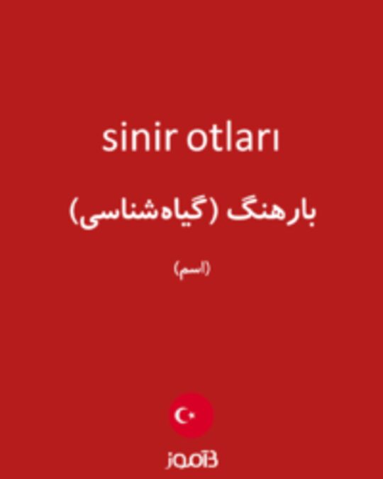  تصویر sinir otları - دیکشنری انگلیسی بیاموز