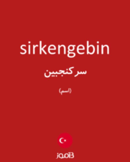  تصویر sirkengebin - دیکشنری انگلیسی بیاموز