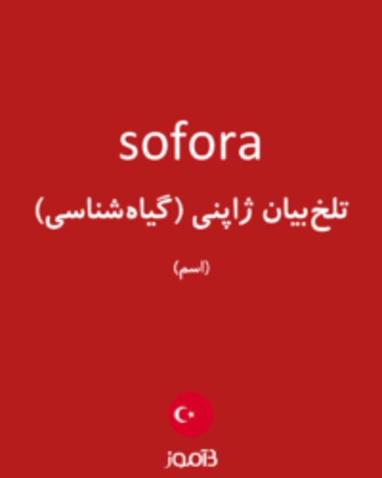  تصویر sofora - دیکشنری انگلیسی بیاموز