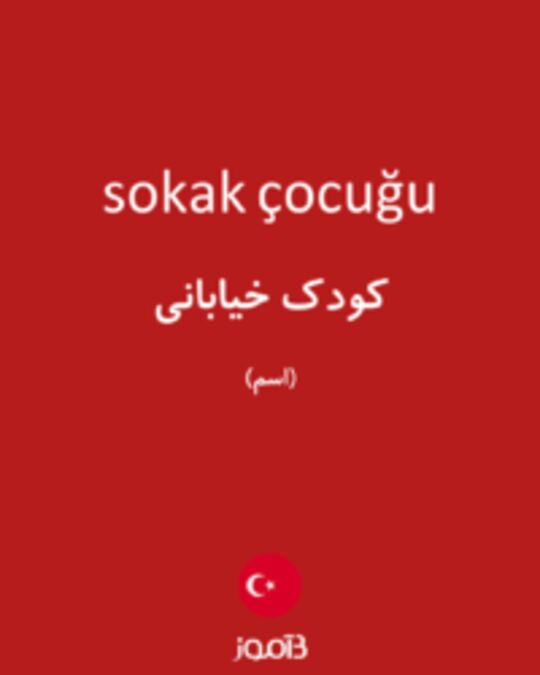  تصویر sokak çocuğu - دیکشنری انگلیسی بیاموز