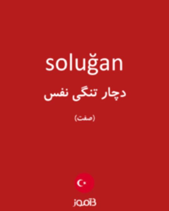  تصویر soluğan - دیکشنری انگلیسی بیاموز