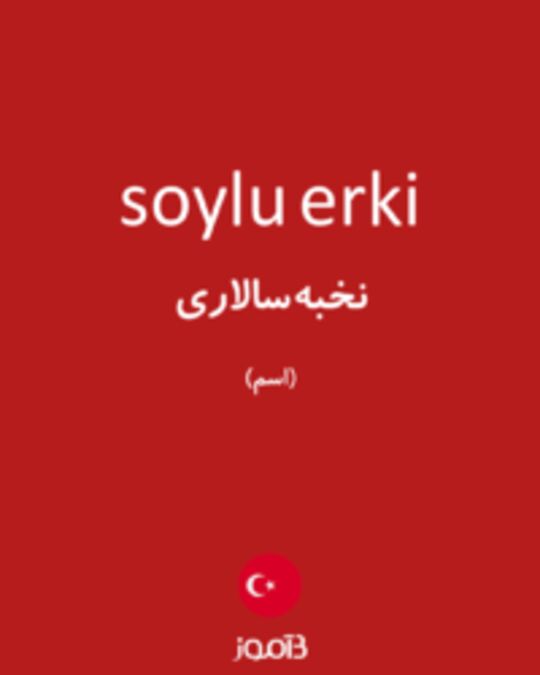  تصویر soylu erki - دیکشنری انگلیسی بیاموز