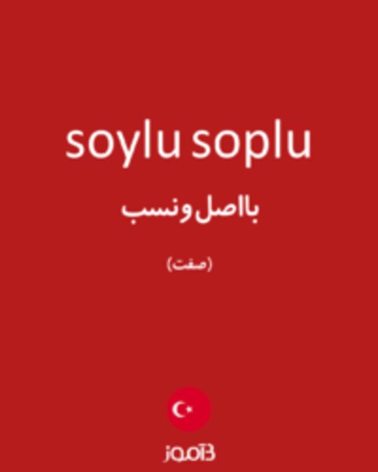  تصویر soylu soplu - دیکشنری انگلیسی بیاموز