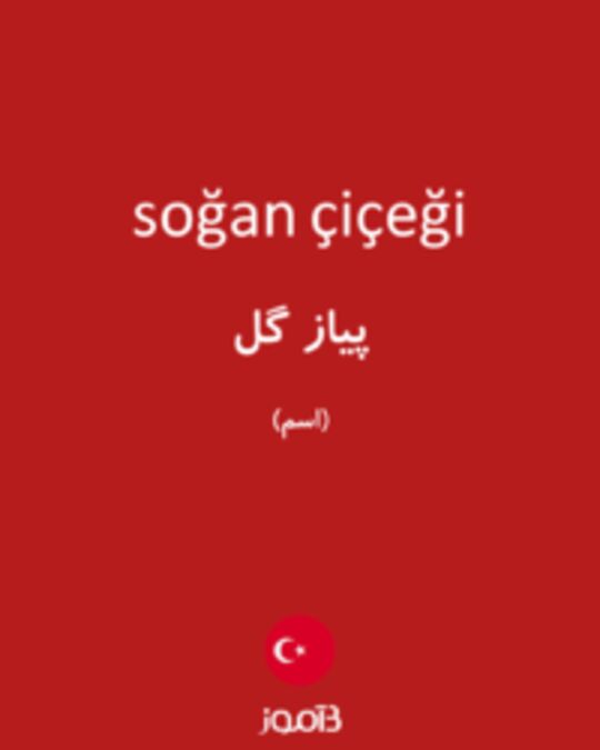  تصویر soğan çiçeği - دیکشنری انگلیسی بیاموز