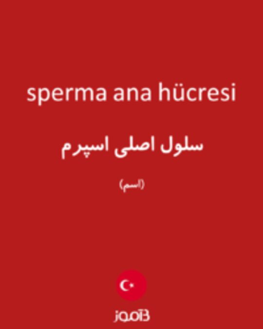  تصویر sperma ana hücresi - دیکشنری انگلیسی بیاموز