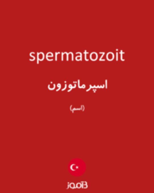  تصویر spermatozoit - دیکشنری انگلیسی بیاموز