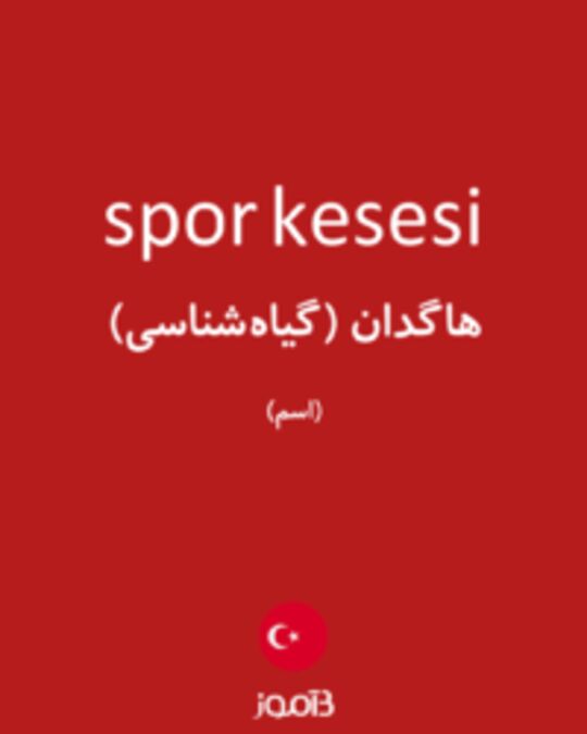  تصویر spor kesesi - دیکشنری انگلیسی بیاموز