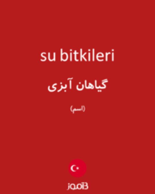  تصویر su bitkileri - دیکشنری انگلیسی بیاموز