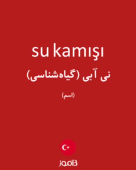  تصویر su kamışı - دیکشنری انگلیسی بیاموز