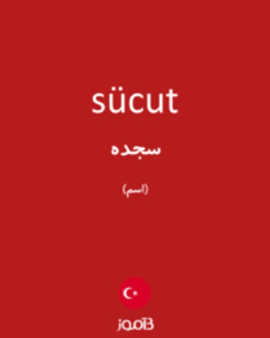  تصویر sücut - دیکشنری انگلیسی بیاموز