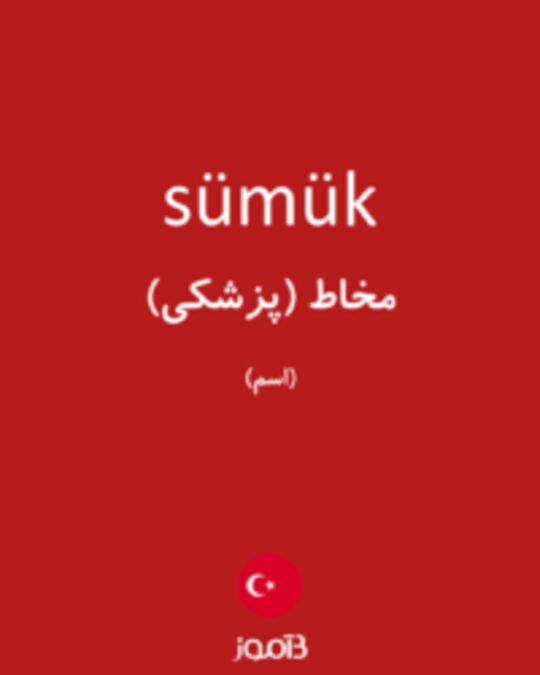  تصویر sümük - دیکشنری انگلیسی بیاموز