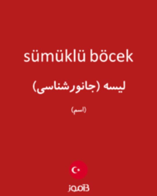  تصویر sümüklü böcek - دیکشنری انگلیسی بیاموز