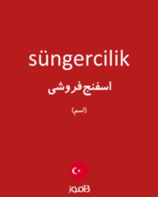  تصویر süngercilik - دیکشنری انگلیسی بیاموز