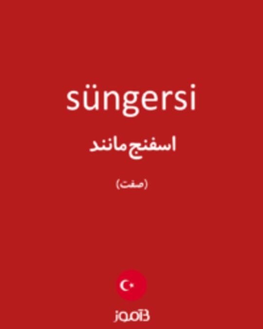  تصویر süngersi - دیکشنری انگلیسی بیاموز