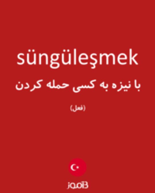  تصویر süngüleşmek - دیکشنری انگلیسی بیاموز