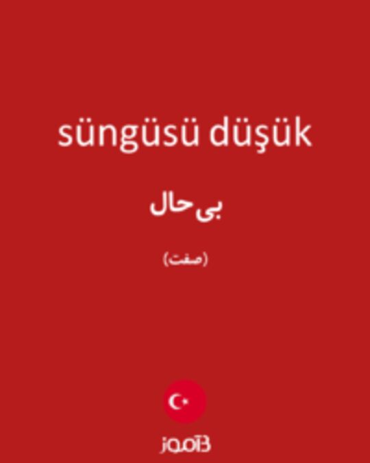  تصویر süngüsü düşük - دیکشنری انگلیسی بیاموز