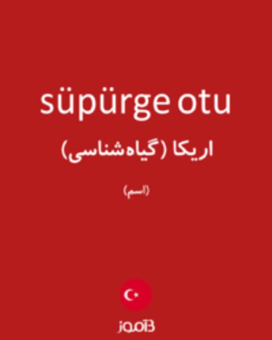  تصویر süpürge otu - دیکشنری انگلیسی بیاموز