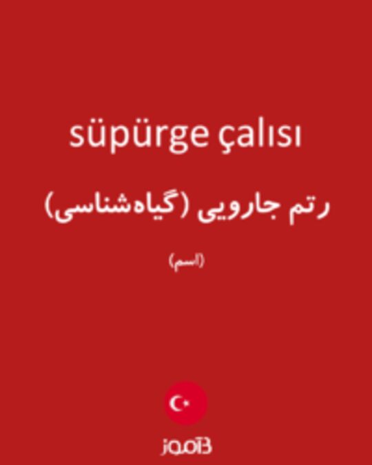  تصویر süpürge çalısı - دیکشنری انگلیسی بیاموز