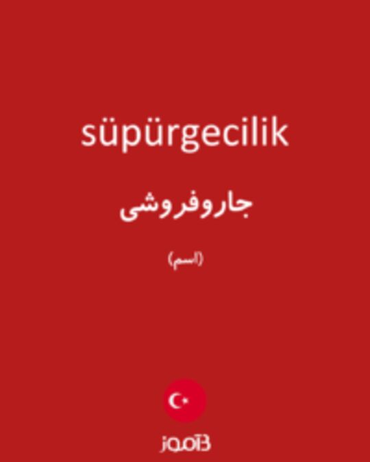  تصویر süpürgecilik - دیکشنری انگلیسی بیاموز